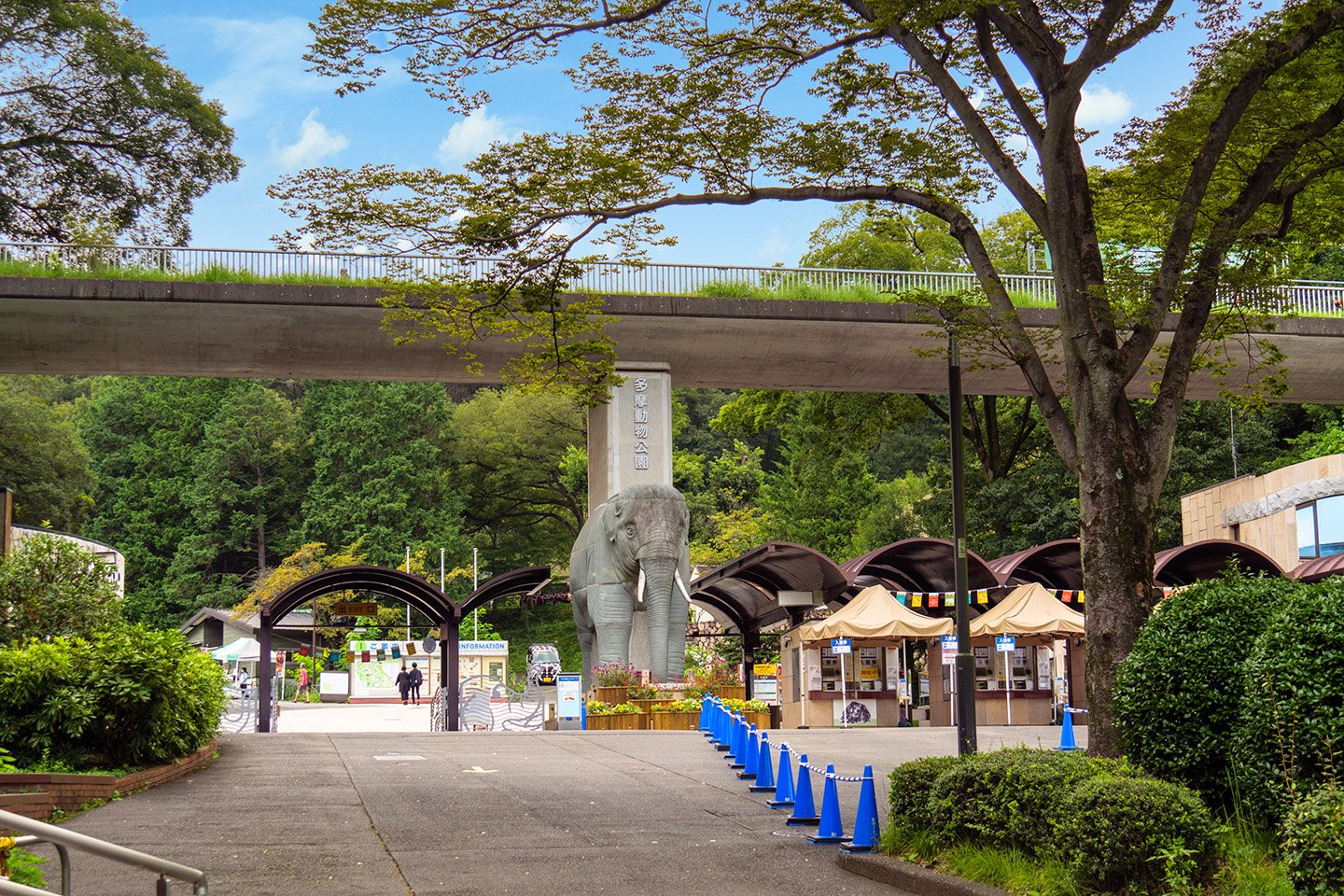 🦁 타마 동물공원(타마 도부츠코엔) 이미지 1